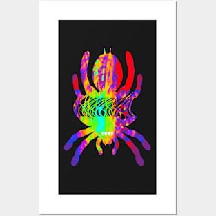 Tarantula Silhouette V20 (Tie Dye) Posters and Art